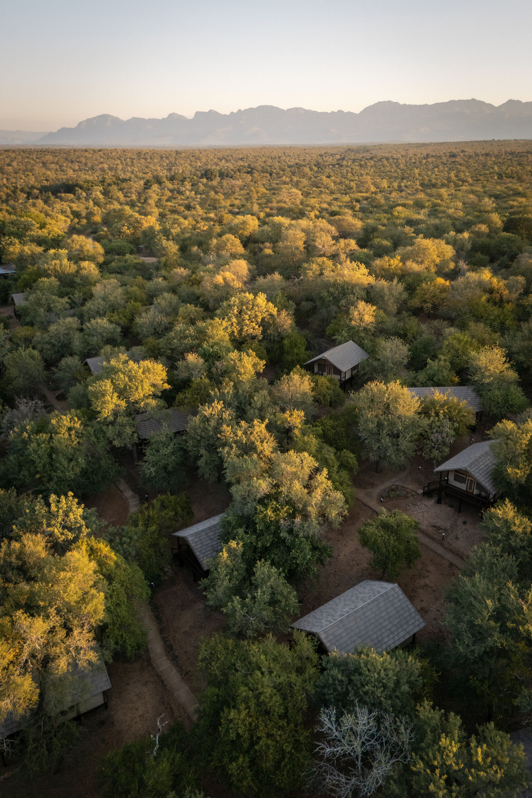 Karongwe-Chisomo-Safari-Camp-440 Karongwe-Chisomo-Safari-Camp-440